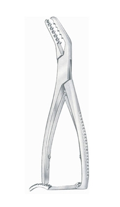 Semb Bone Holding Fcp